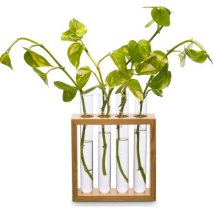 Square Plant Holder