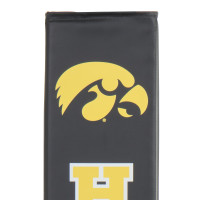 Iowa Hawkeyes Collegiate Pole Pad thumbnail 4
