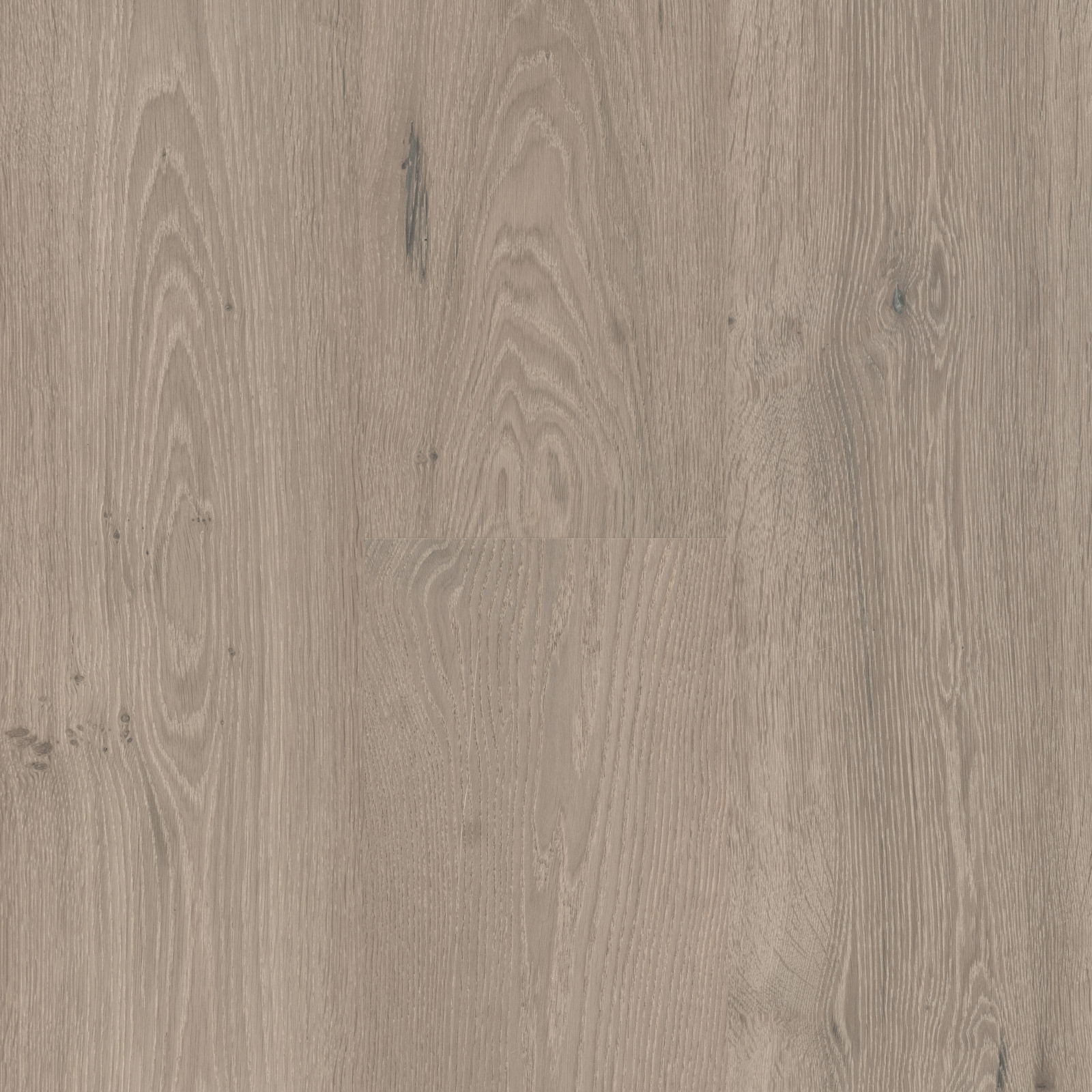 Shipboard Sauv view 3