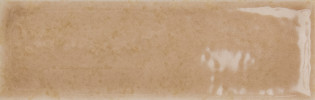 Skin Biscuit 2×5 Field Tile Glossy