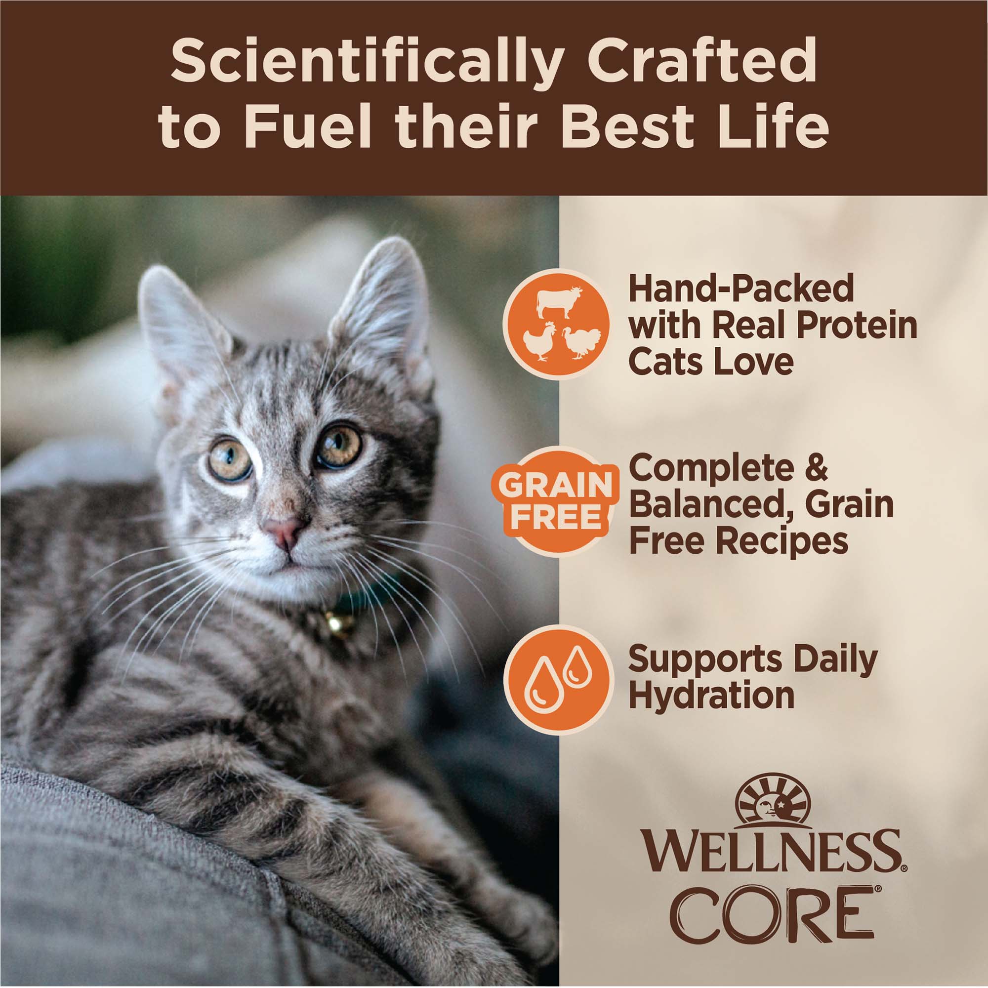 Wellness CORE Signature Selects Poultry Variety Pack Wellness Pet Food
