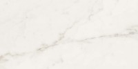 Alta White 12×24 Field Tile Polished Rectified