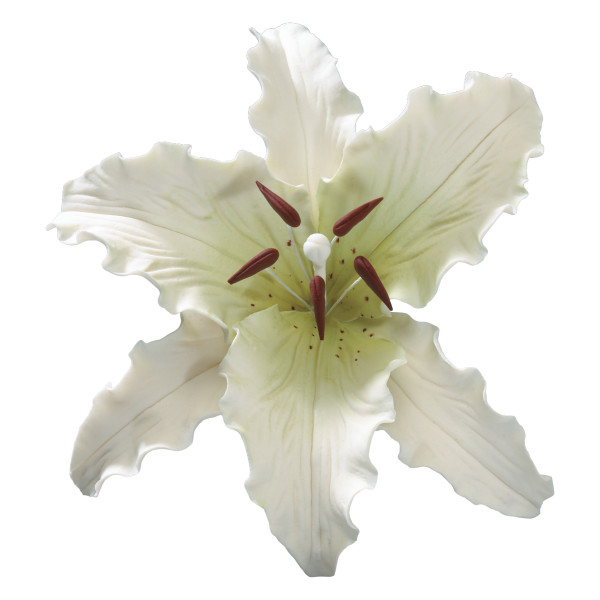 Stargazer Lily 5" Gum Paste Flowers