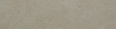 Argent Concrete Jungle 6×24 Field Tile Matte Rectified
