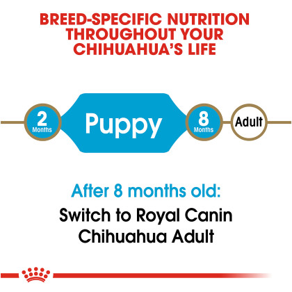 Chihuahua Puppy Dry Dog Food