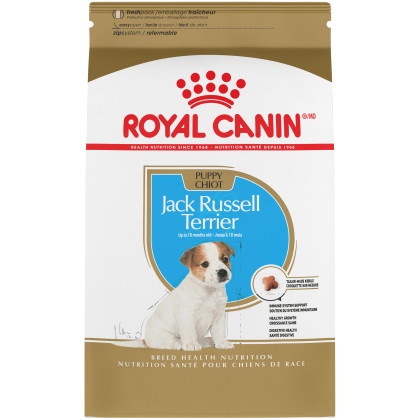 Jack Russell Terrier Puppy Dry Dog Food