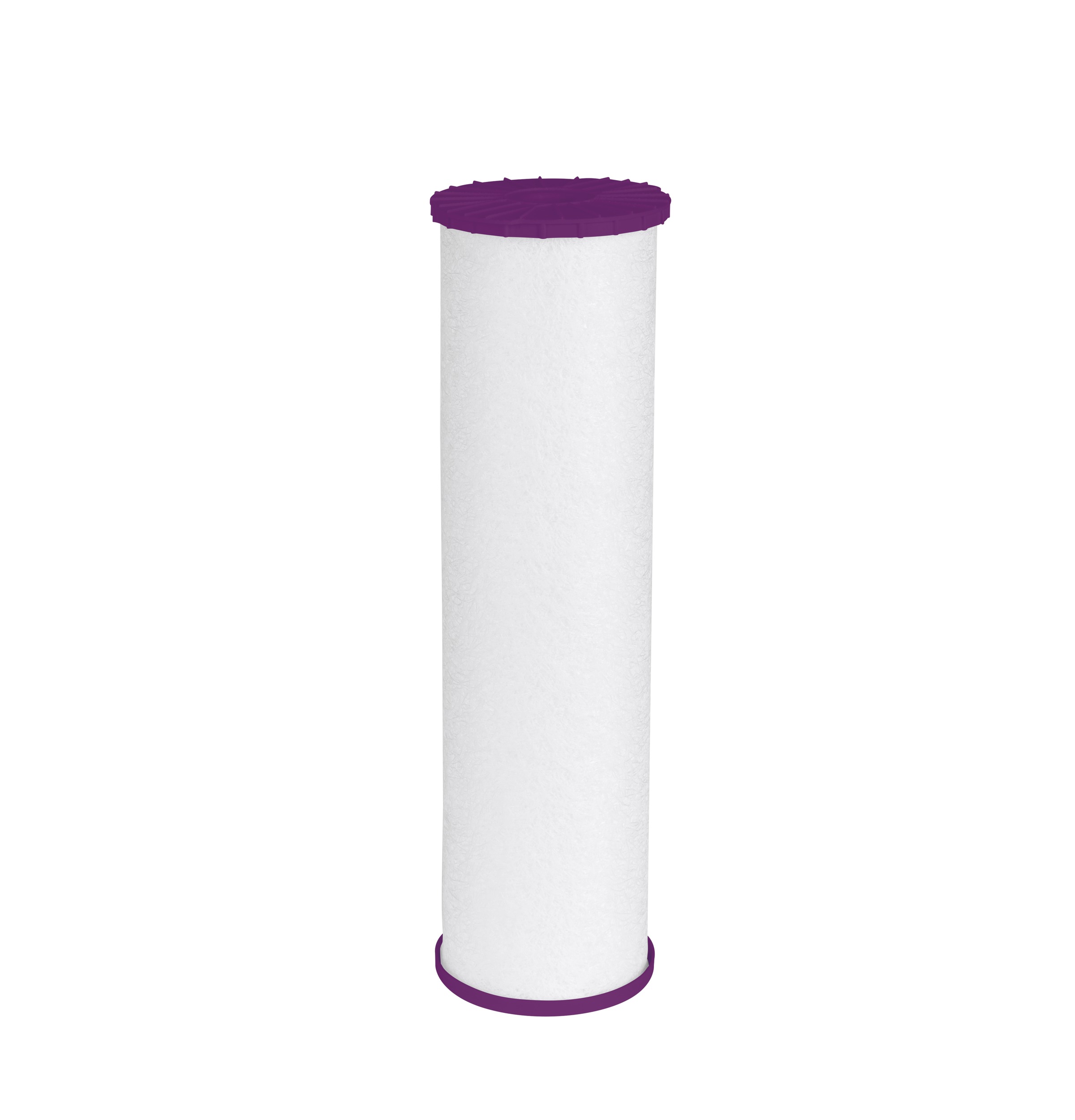 WHOLE HOUSE FILTER - BASIC &mdash; Model #: FTHPM
