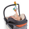 Take Along Discovery Cards™ Activity Toy