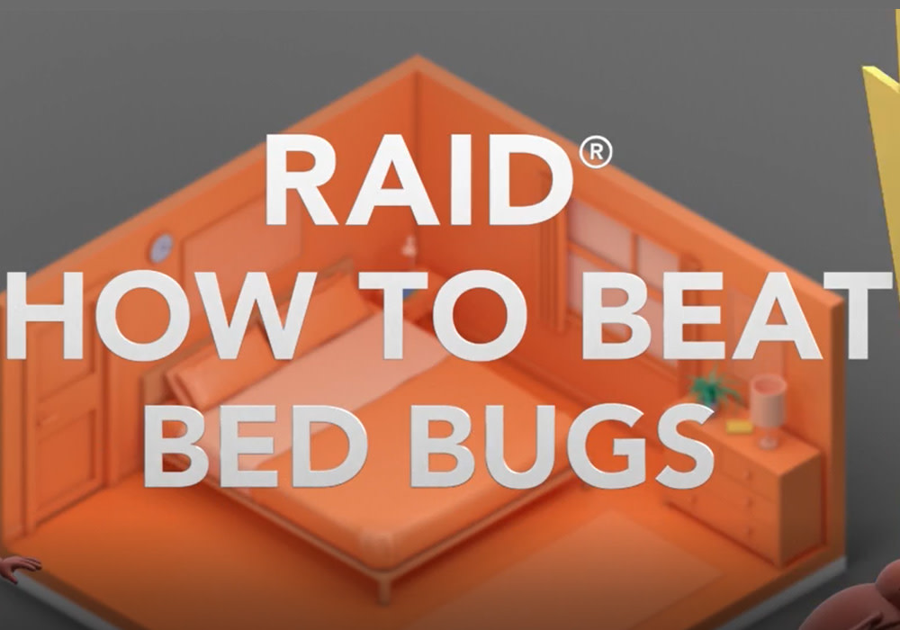 Raid Bed Bug Detector & Trap, For Home or Travel, 8 Count