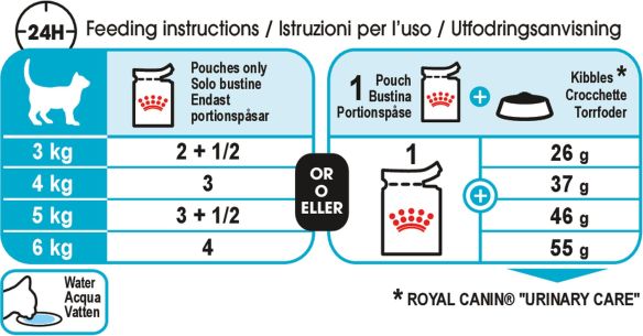 Feeding Guide