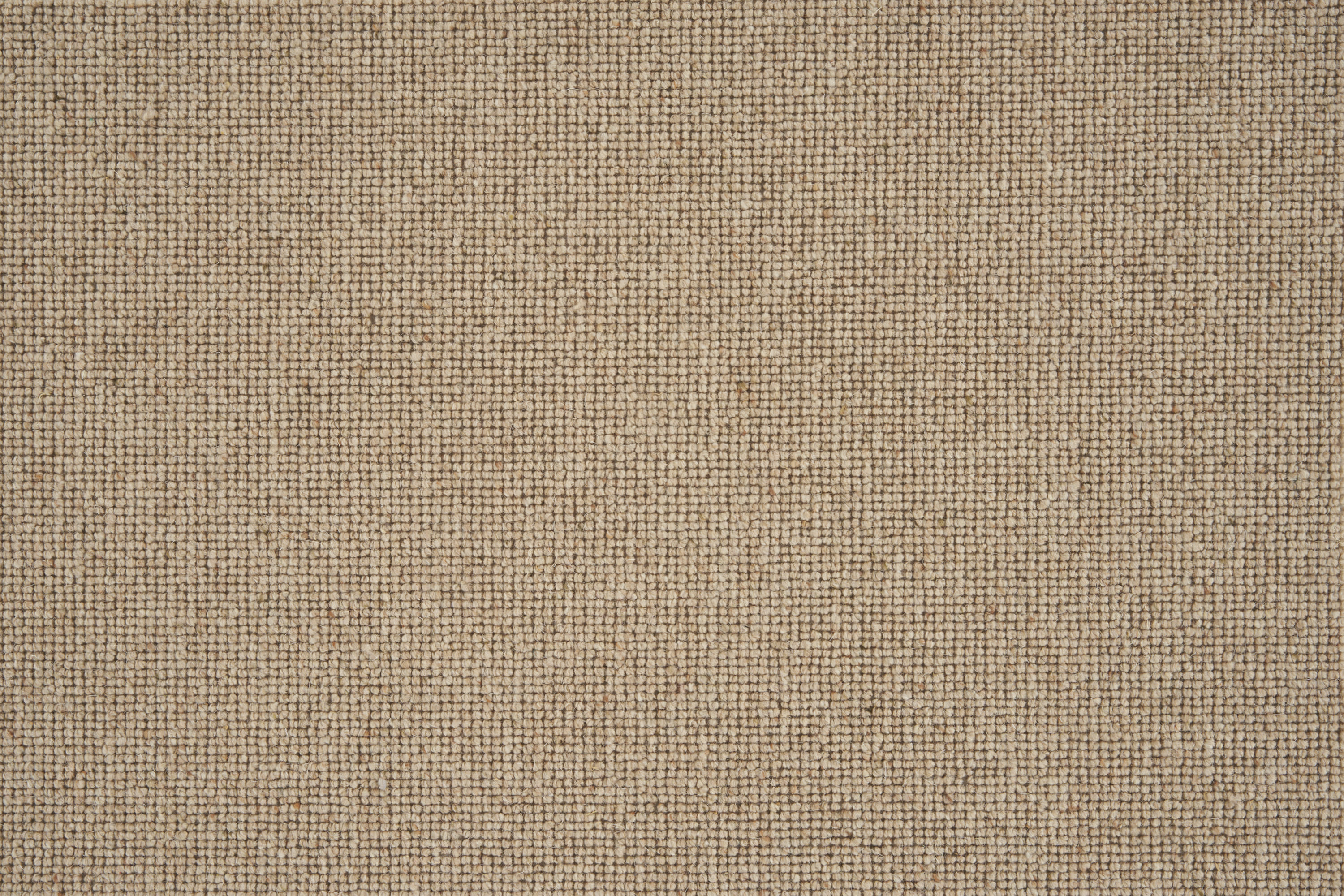 color-rug1