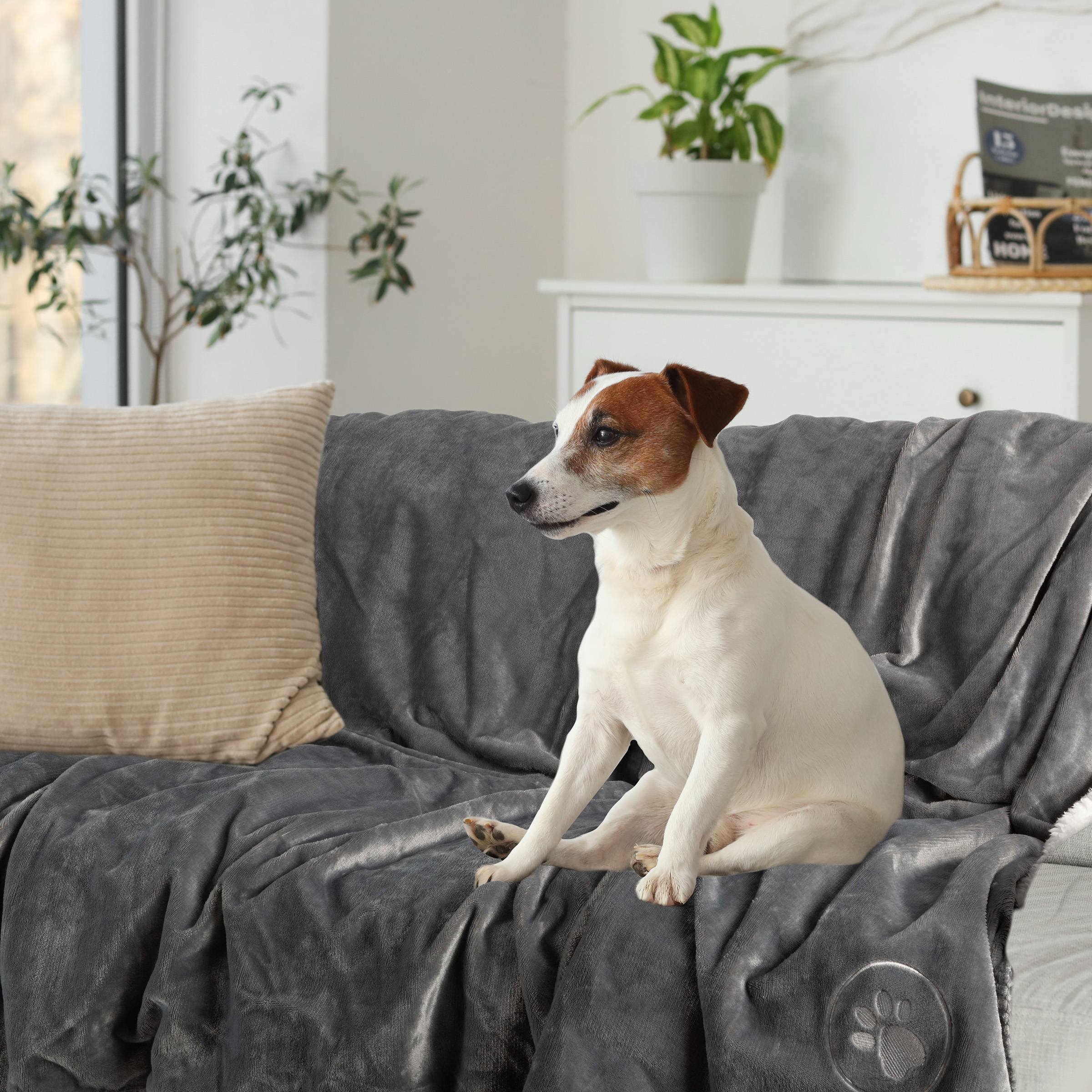 PETMAKER 60x80in Dog Blanket Throw Blankets for Bed Puppy Essentials - Picture 13 of 26