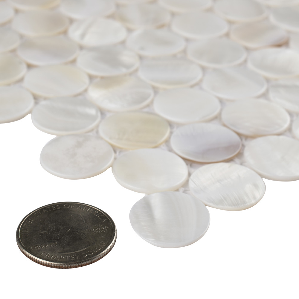 Conchella Mini Penny White 11-1/2 in. x 11-5/8 in. Natural Shell Mosaic Tile