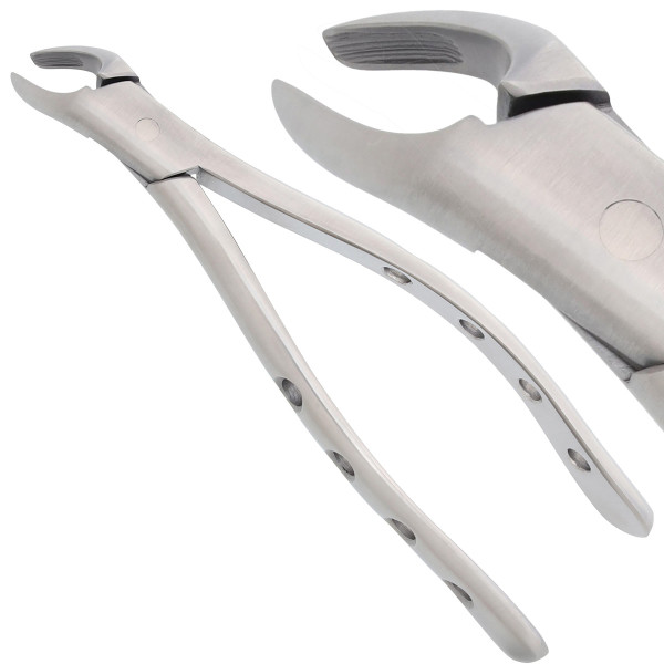 Nordent Atraumatic Forcep #151 Lower Universal, Tapered