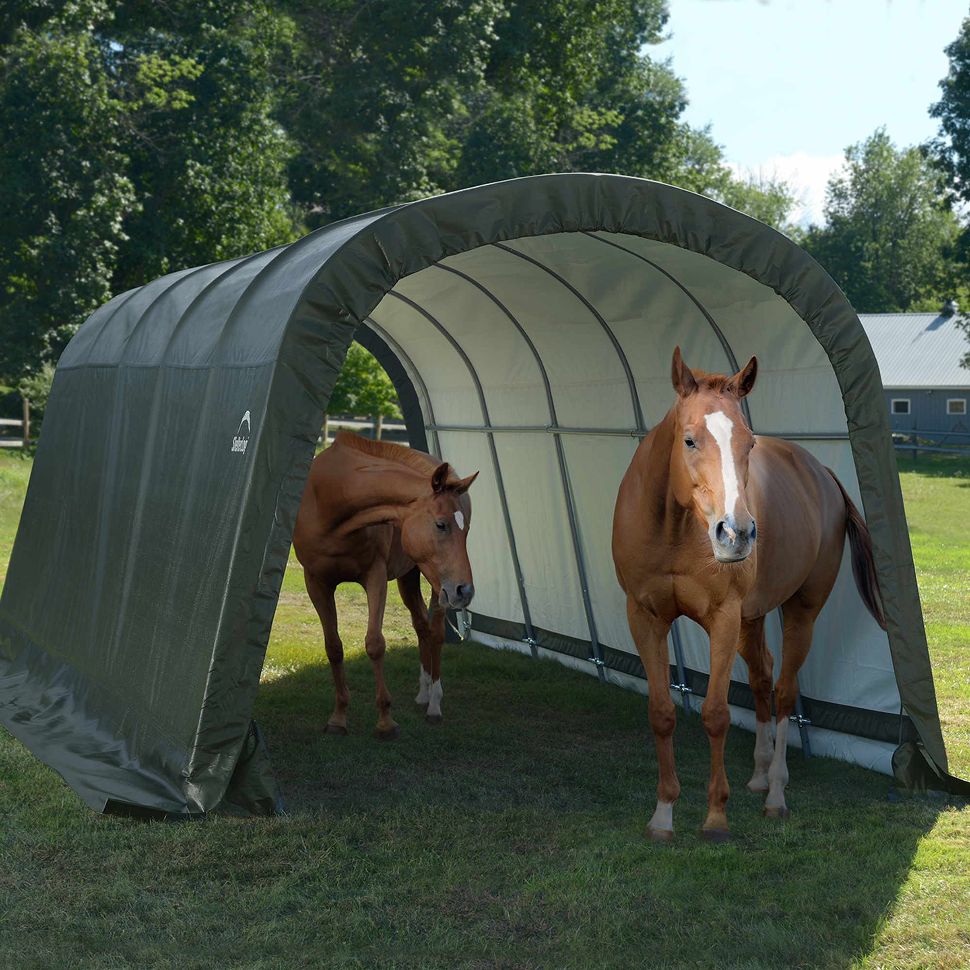 Shelter Logic Run-In Shed-in-a-Box 12 x 20 x 8 ft.