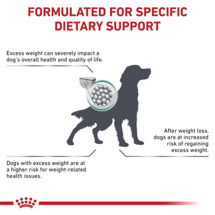 Satiety Support Weight Management Dry Dog Food 