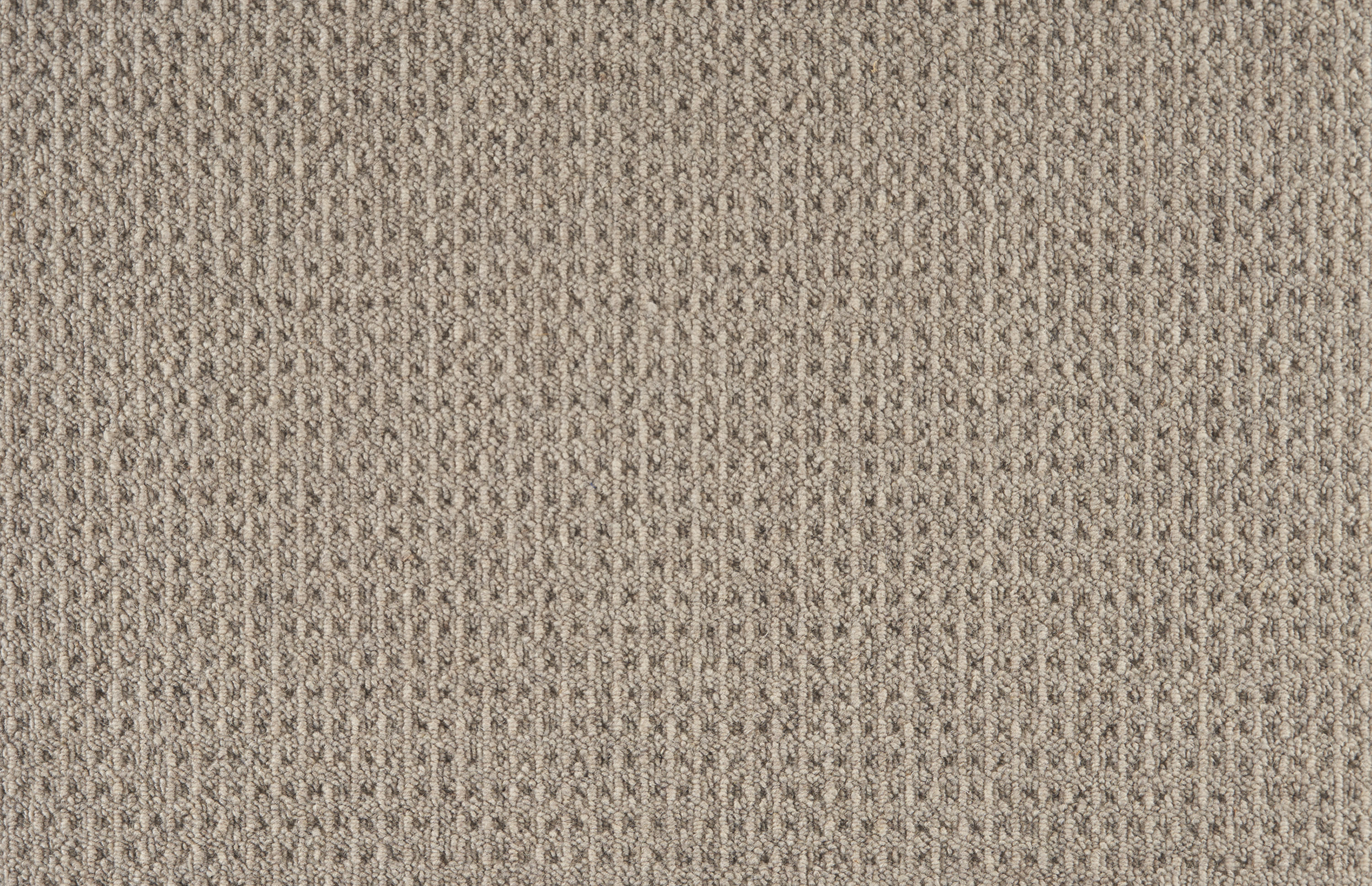 color-rug1