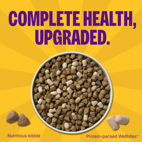 The benefits of Wellness Complete Health +  Chicken & Oatmeal