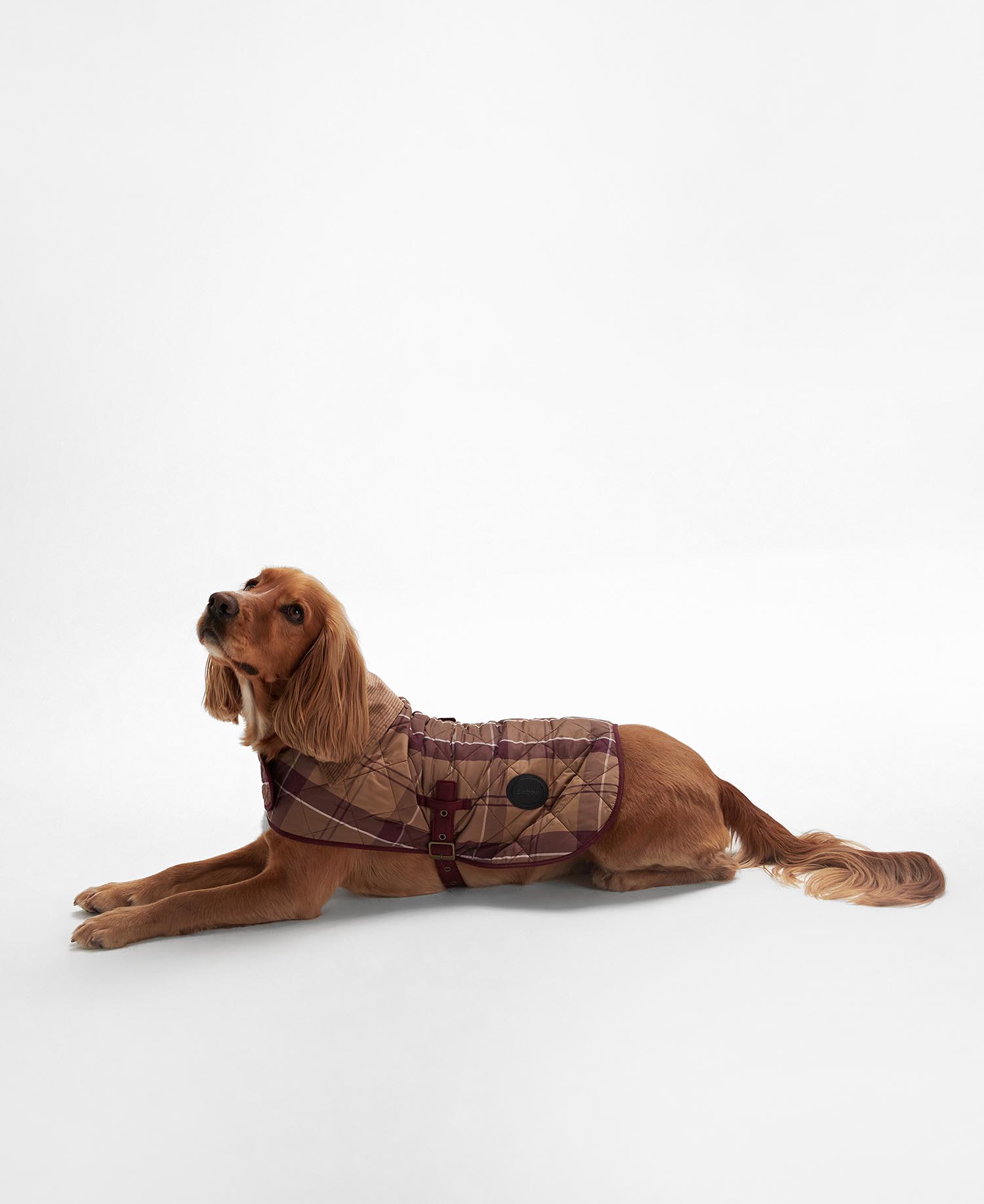 Tartan Dog Coat image number 1