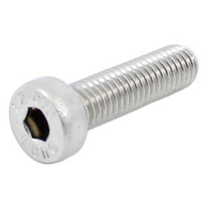 Screw