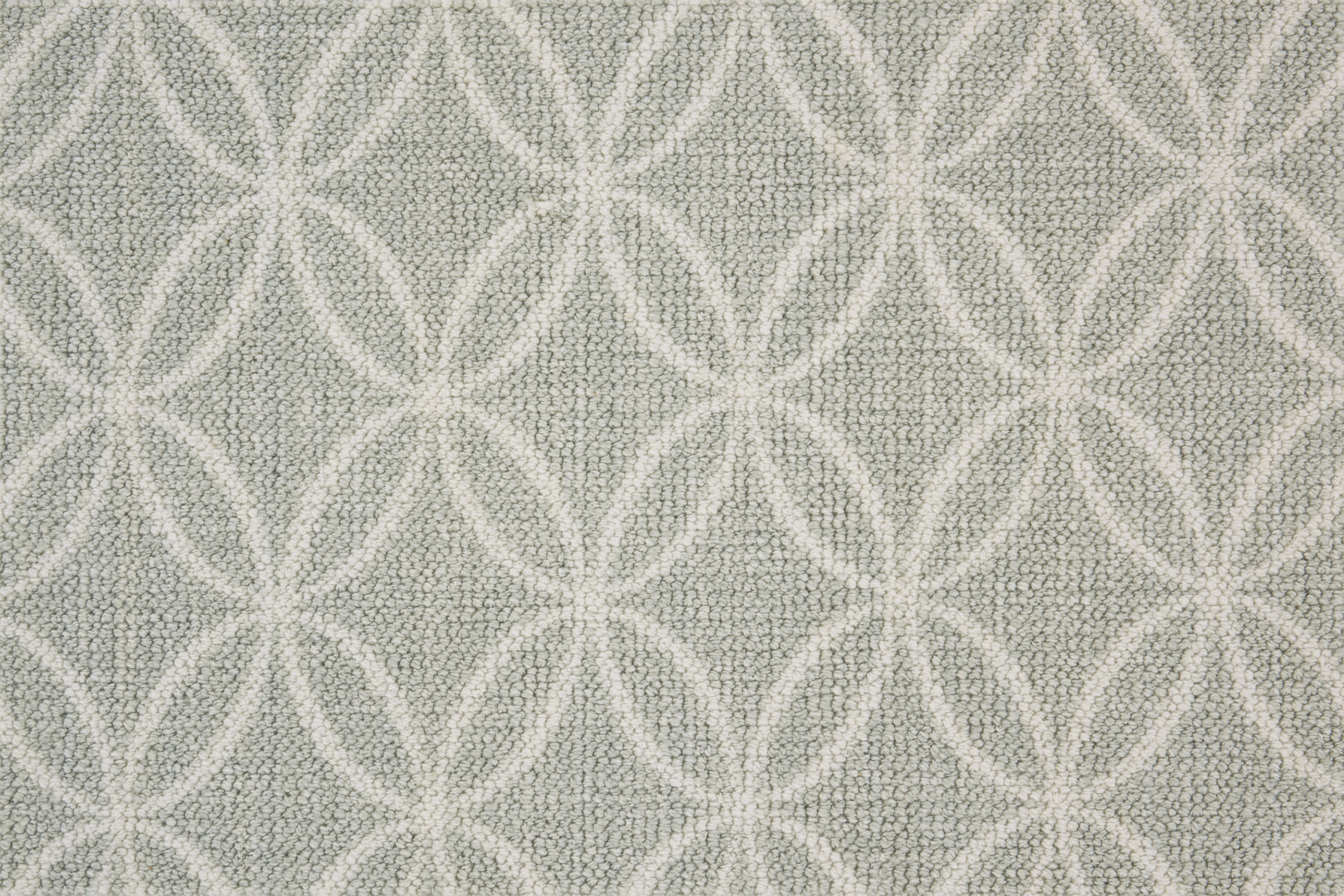 color-rug1