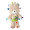 Snuggle & Play Bear™