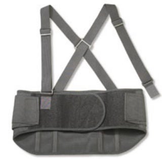 ProFlex® Standard Back Support, Large