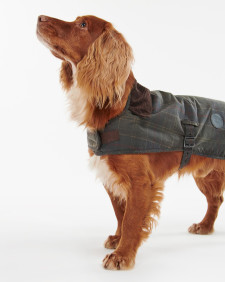 Tartan Waxed Dog Coat 
