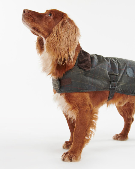 Hundemantel Tartan Wax
