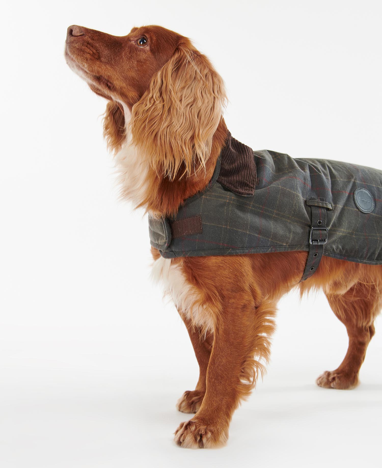 Hundemantel Tartan Wax image number 0