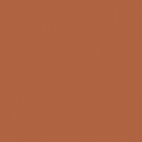 Terracotta-colored square sits motionless, filling the frame as a flat, slightly textured solid-color background.
