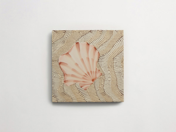 Giovanni De Maio + Cristina Celestino: Thalassa | Decoro 1 | Avana 