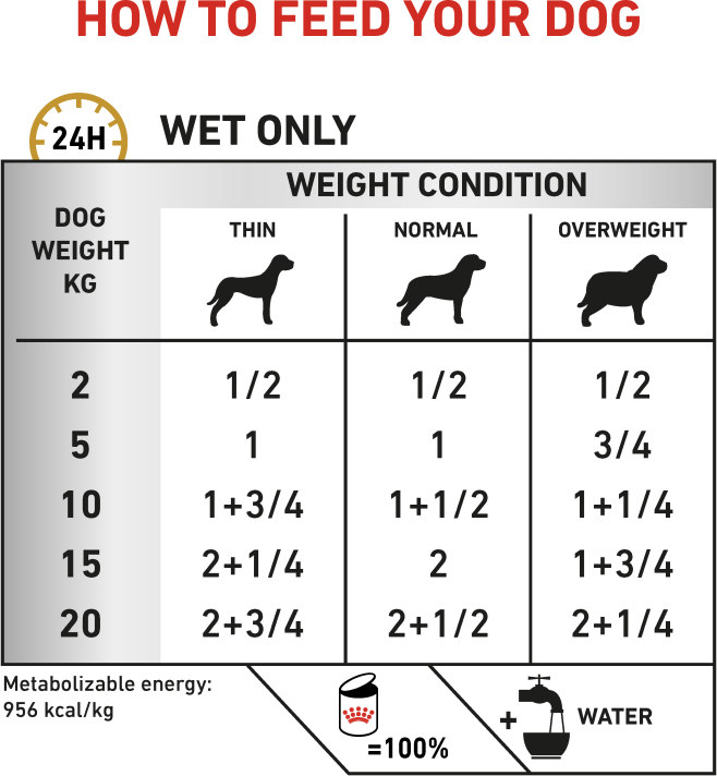 Feeding Guide