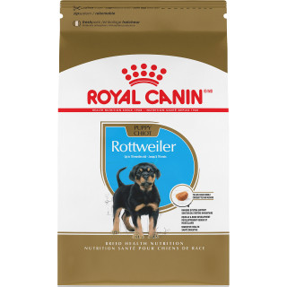 CHIOT ROTTWEILER – nourriture sèche pour chiens