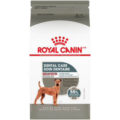 Medium Dental Care Dry Dog Food