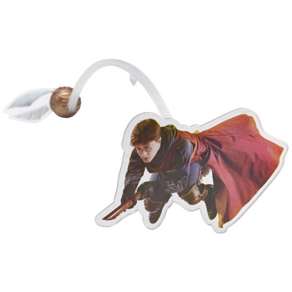 HARRY POTTER™ Quidditch™ Chase DecoSet®