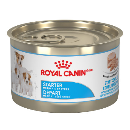 Royal Canin Canine Health Nutrition Starter Mousse Canned Dog Food
