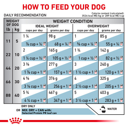 Selected Protein PR Dry Dog Food