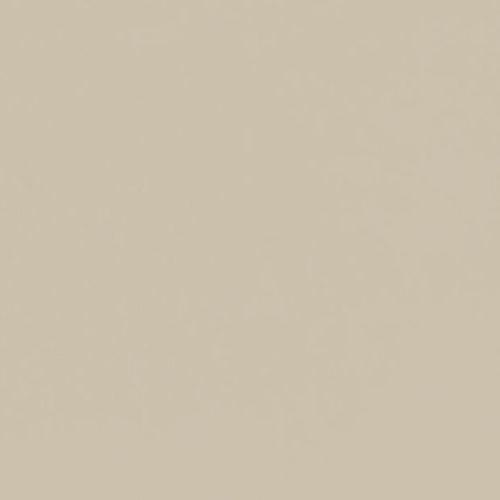 Plain beige wall filling the frame, uniformly colored and untextured, occupying the view; evenly lit minimalist background with no windows, furnishings, or discernible features.