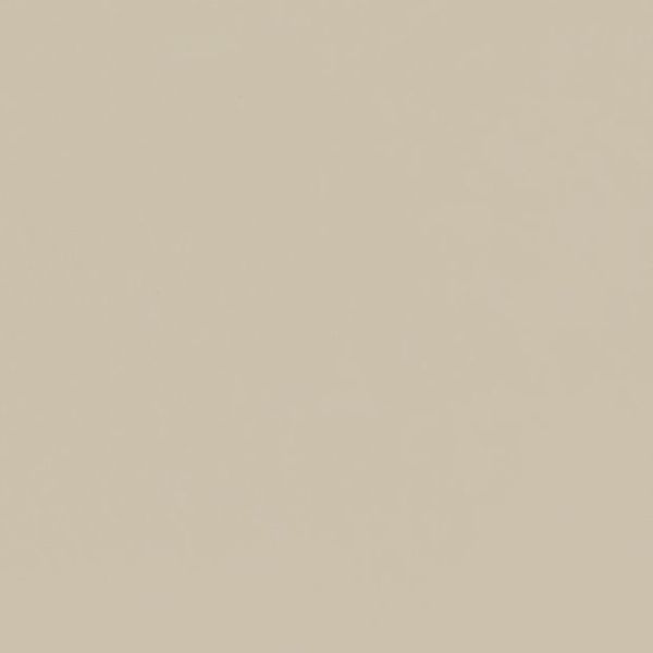 Plain beige wall filling the frame, uniformly colored and untextured, occupying the view; evenly lit minimalist background with no windows, furnishings, or discernible features.