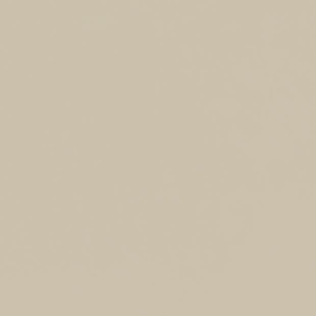 Plain beige wall filling the frame, uniformly colored and untextured, occupying the view; evenly lit minimalist background with no windows, furnishings, or discernible features.