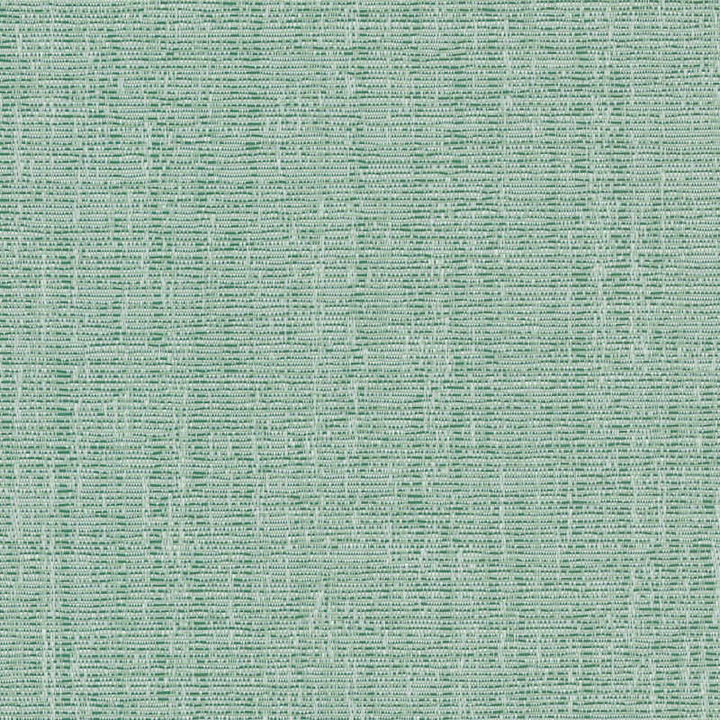 Reid Forest Roller Blind