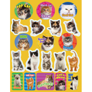 Motivational Cats, Pack of 120