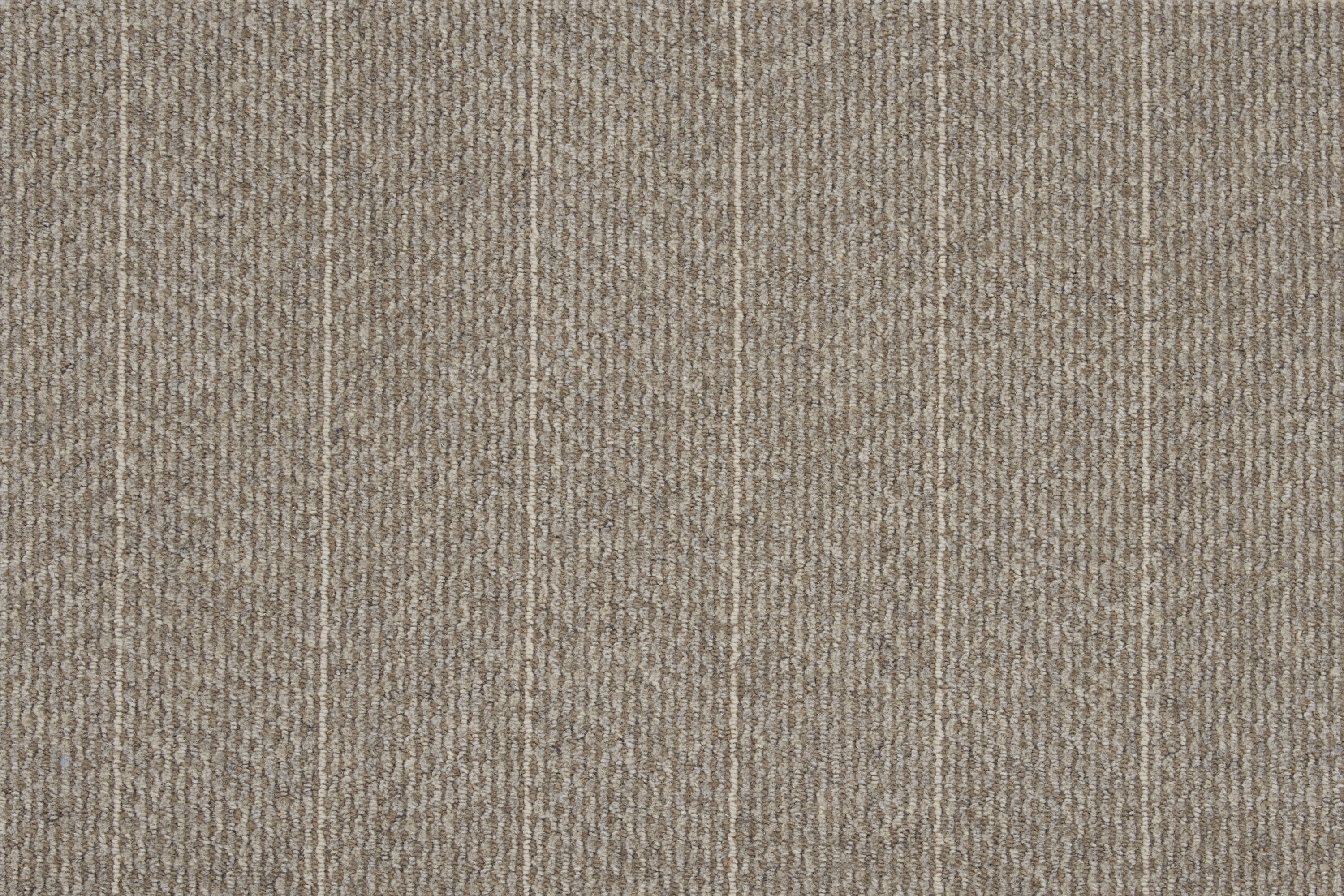 color-rug1