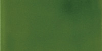 Vivid Olive 3×6 Field Tile Glossy
