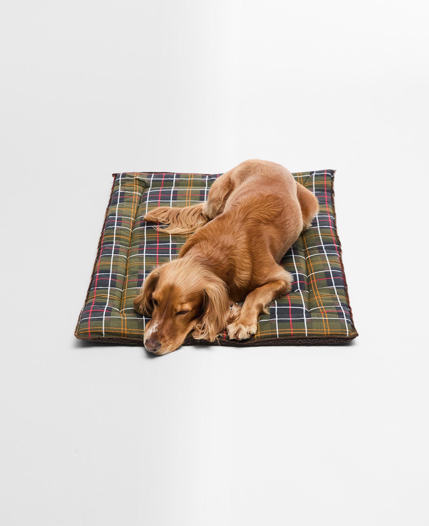 Cage Dog Mat image number 0