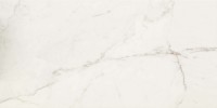 Classentino Marble Palazzo White 24×48 Field Tile Polished Rectified