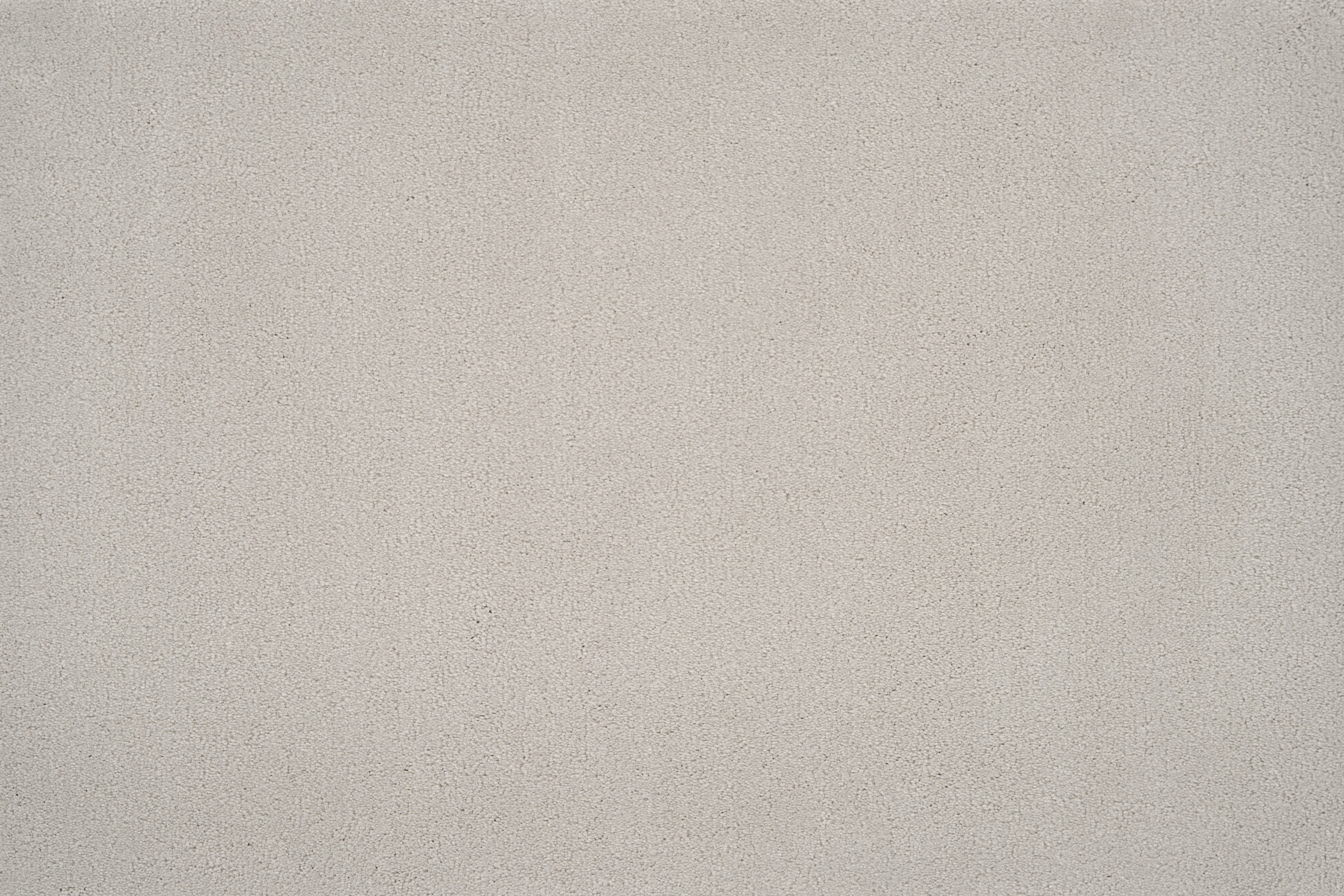 color-rug1