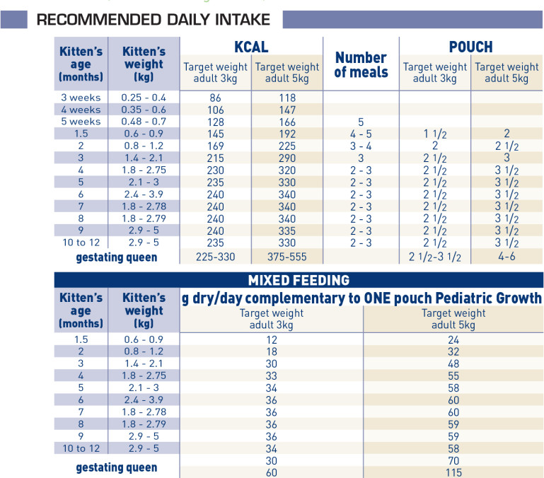 Pediatric Growth Wet - Cat Food - ROYAL CANIN®