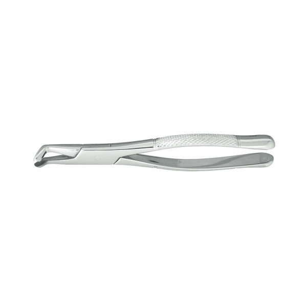Nordent #222 Lower 3rd Molar Extraction Forcep, Serrated